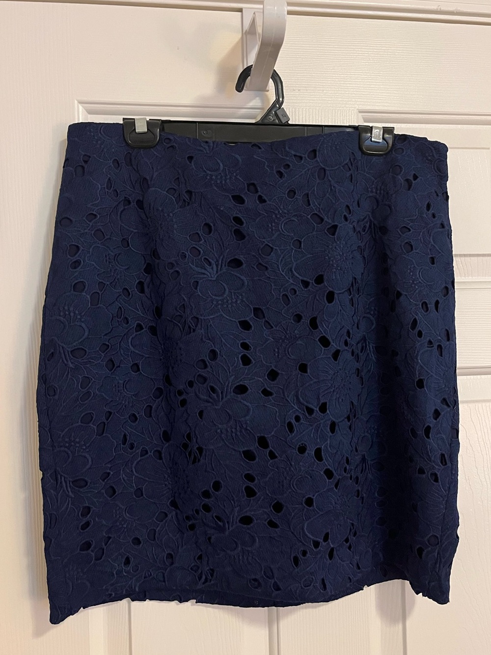 Banana Republic Lace Lined Skirt 14